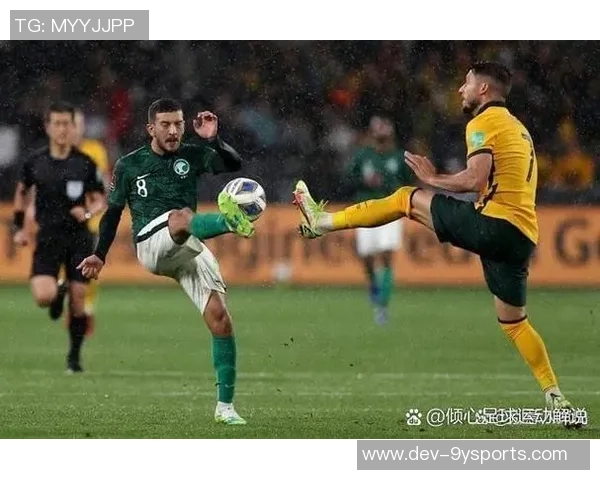 足球回放世界杯精彩瞬间重温球场激情与荣耀的完美结合